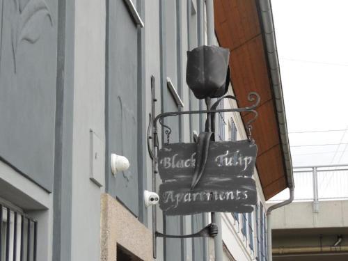 Apartm�ny ?ern� Tulip�n # 1