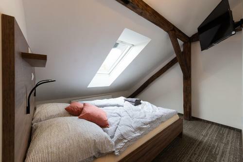 Apartsee Wellness Plze?