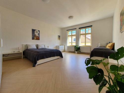 Spacious Luxury Apartment In The City Center