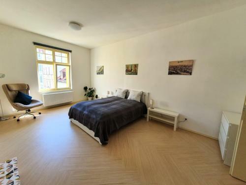 Spacious Luxury Apartment In The City Center