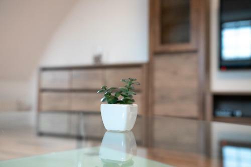 Apartm�ny V Ml�nsk� Strouze