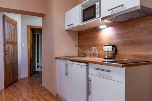 Apartm�ny V Ml�nsk� Strouze