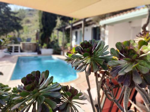 Villa Cortijo Vacas Gordas