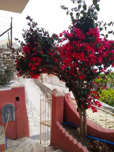 Apartamento Vassilis Panoramic Sea View Village House