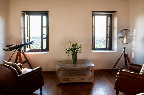 Villa Positivespace Olive Tree
