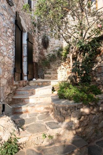 Villa Positivespace Olive Tree