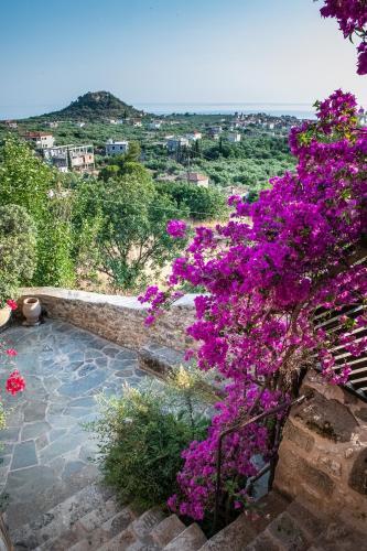 Villa Positivespace Olive Tree