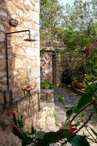 Villa Positivespace Olive Tree