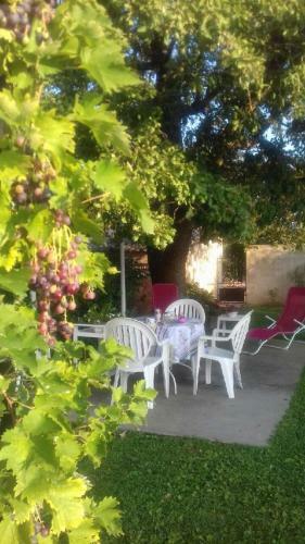 Bed & Breakfast Chambre Du Raisin