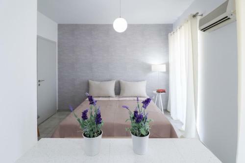 Modern Apartments Edipsos