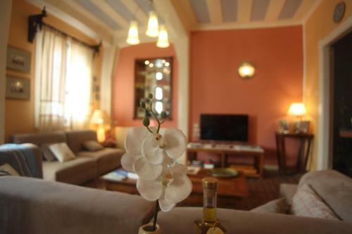 Agroturismo Beautiful Traditional House In Lefkada