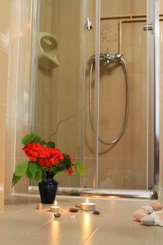 Apartamento Traditional Olive House