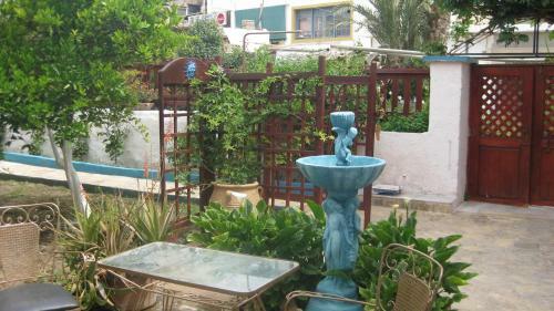 Apartamento Theodora