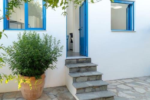 Blue Moon Apartments