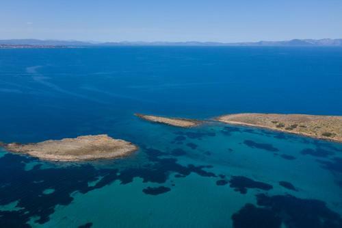 Modular Bungalows Vravrona Artemis Greece
