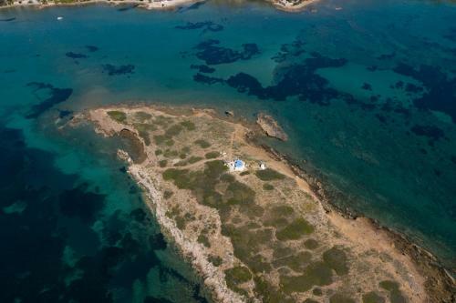 Modular Bungalows Vravrona Artemis Greece