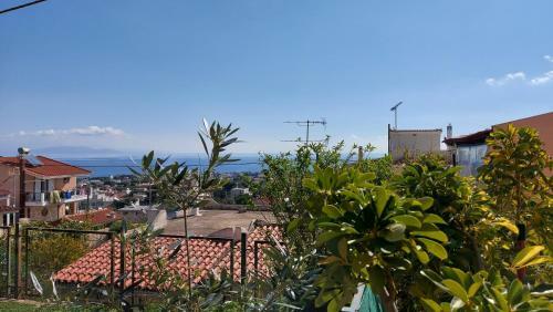 Apartamento Airport Friendly House 1