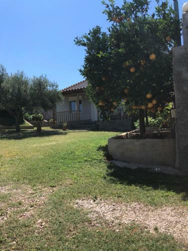 Garden House-free Transfer From Airport