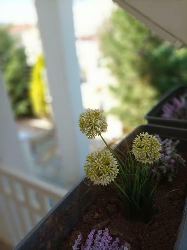 Apartamento Villa Constantina - ???? ???????????