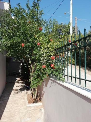Apartamento Airport Family House
