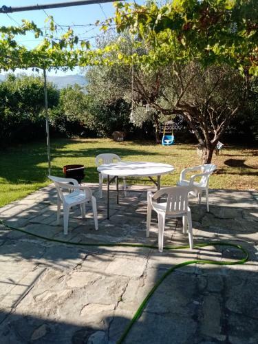 Apartamento Irene House