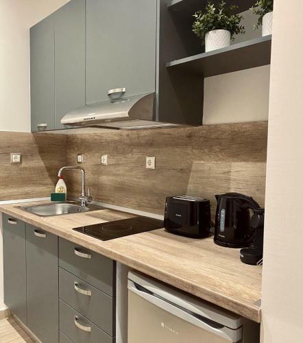 11 Luxury Apartments Metsovo.
