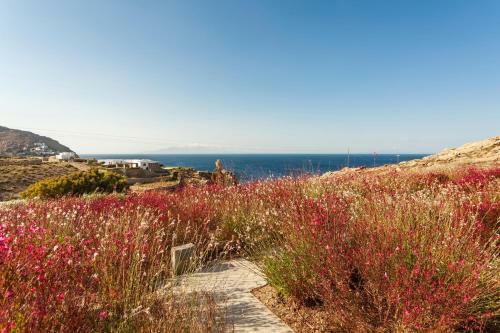 The Mykonist Exclusive Villa Elia Beach