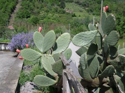 Agroturismo Difesa Del Principe