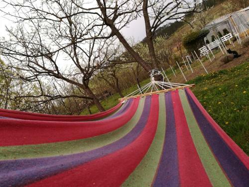 Lavander Garden Camping