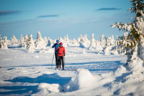 Apartamento Mountain Lodge, Topptrysil 6+1 Guest -skihytta