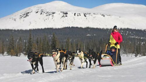 Apartamento Mountain Lodge, Topptrysil 6+1 Guest -skihytta
