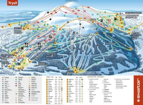 Lillebj�rn