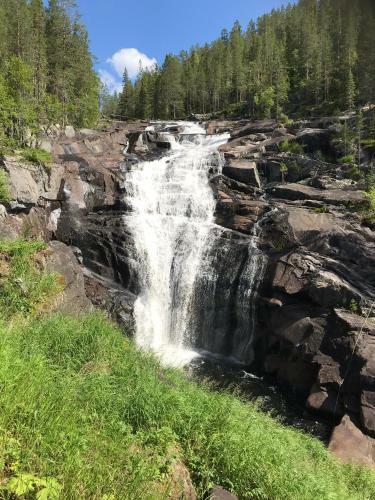 Lillebj�rn