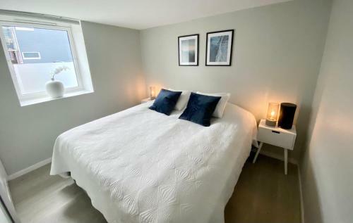 Two Bedroom Apartment Near The City Centre.