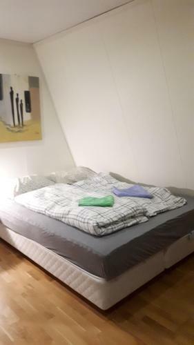 Arctic Rooms Rektor