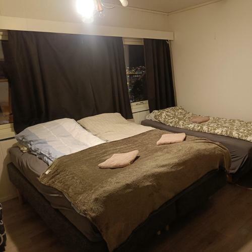 Arctic Rooms Hage