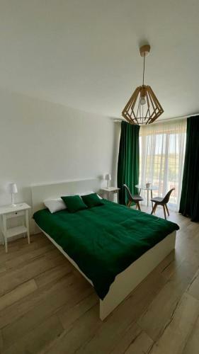 Hostal Pensiunea Roa