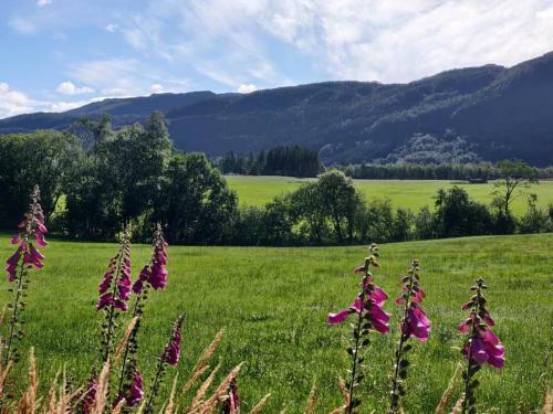 Hostal Vikedal Relax Center