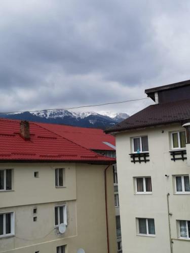 Zen Sinaia Apartment