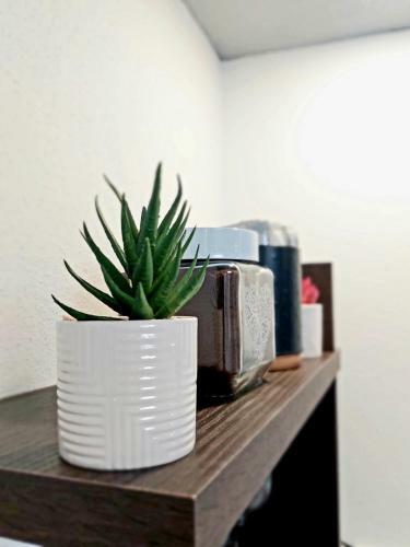 Apartamento Domino Studio