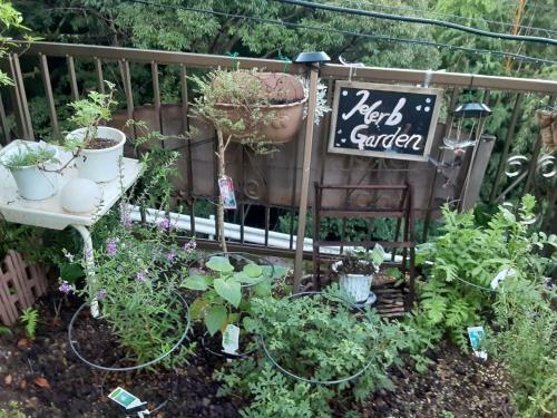 Hostal Daishinan Ladies Dormitory - Vacation Stay 12076