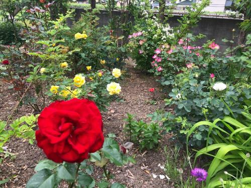 Hostal Fukurou No Oyado - Vacation Stay 71438v