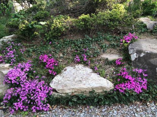 Hostal Fukurou No Oyado - Vacation Stay 71438v