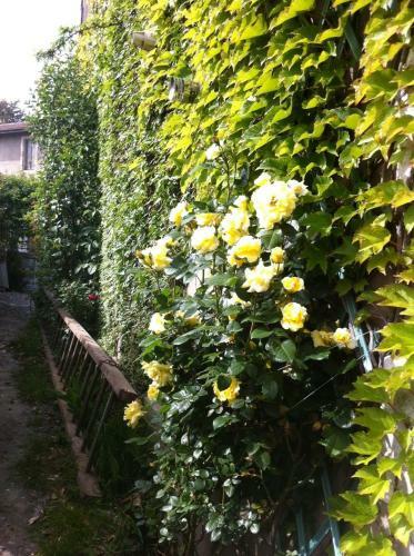 Bed & Breakfast Chambres D'h�tes A Buglose