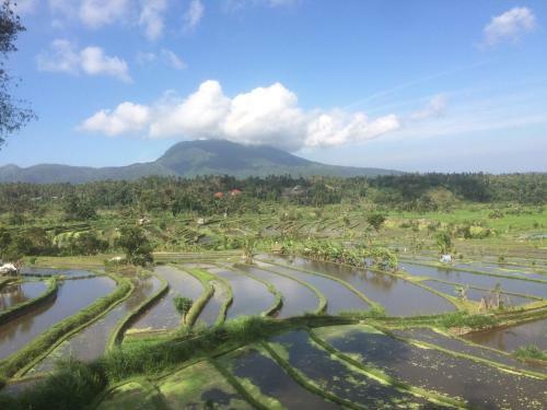 Pandan Guest House