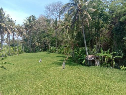 Pondok Diana