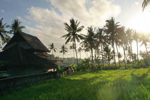 Pondok Diana
