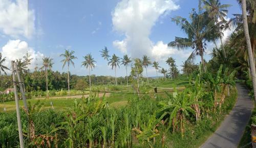 Pondok Diana
