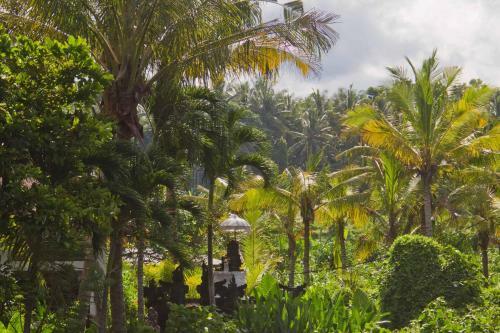 Lodge Jasri Dalem Surf Retreat