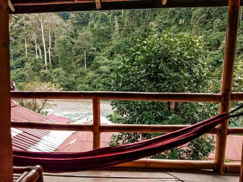 Hostal Sumatra Orangutan Explore
